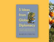Load image into Gallery viewer, 5 Ideas from Global Diplomacy: System-wide Transformation Methods to Close the Compliance Gap and Advance the 2030 Sustainable Development Goals