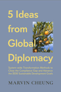 5 Ideas from Global Diplomacy: System-wide Transformation Methods to Close the Compliance Gap and Advance the 2030 Sustainable Development Goals